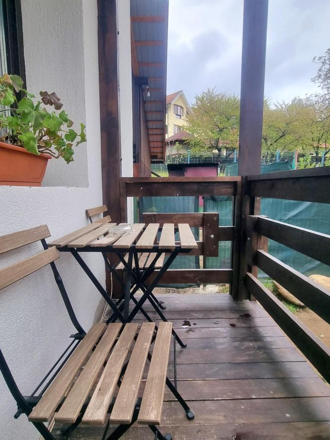 Pensiunea Tobo Baia de Fier Exterior foto