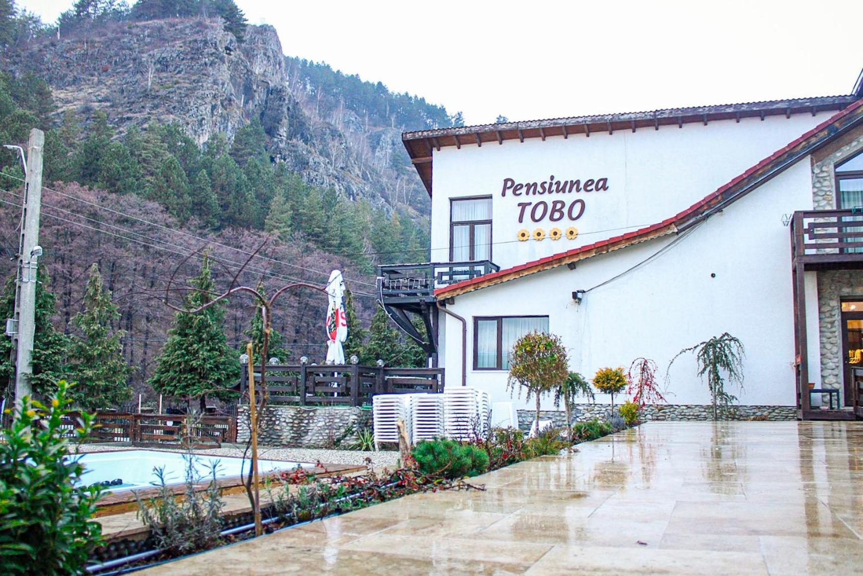 Pensiunea Tobo Baia de Fier Exterior foto