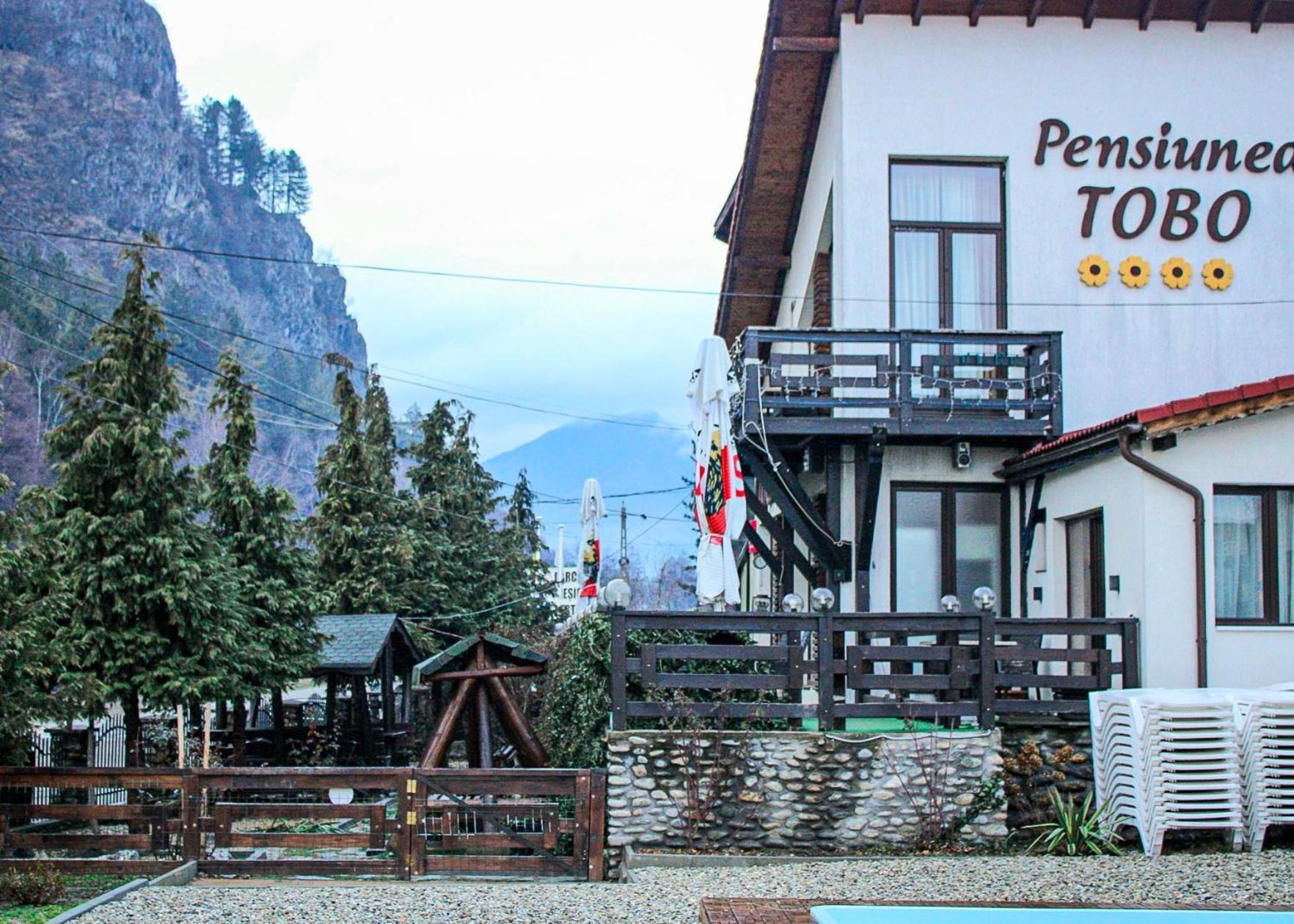 Pensiunea Tobo Baia de Fier Exterior foto