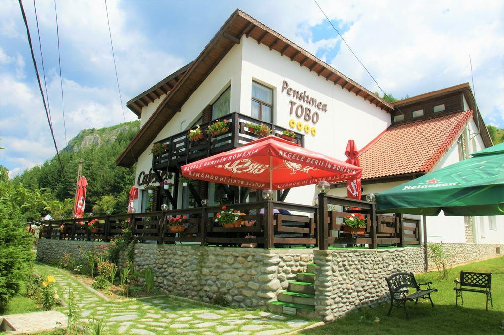 Pensiunea Tobo Baia de Fier Exterior foto